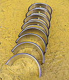 Вкладки Д144, Т40 Н1 шатун, JUBANA, фото 4