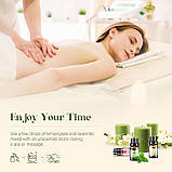 Ефірне Масло 12 шт по 5 мл Haholi Oils Англія та Аромадіфузор з ефектом полум'я Натуральні масла, фото 4