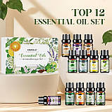 Ефірне Масло 12 шт по 5 мл Haholi Oils Англія та Аромадіфузор з ефектом полум'я Натуральні масла, фото 5
