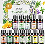 Ефірне Масло 12 шт по 5 мл Haholi Oils Англія та Аромадіфузор з ефектом полум'я Натуральні масла, фото 6