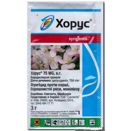 Хорус - 3 г, 75% в.г. Syngenta, фото 1