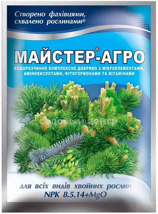 МАСТЕР-АГРО для хвойных 25гр, фото 1