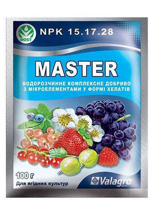 МАЙСТЕР-АГРО для ягідний 100 гр, фото 1