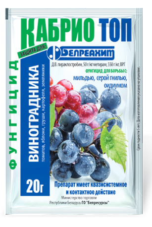 Кабріо Топ (20г) Белреахім