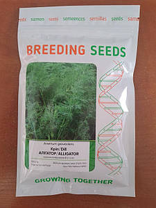 Насіння кропу Алігатор (100гр)