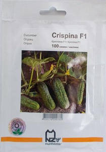 Огірок Кріспіна F1 (100шт) Nunhems