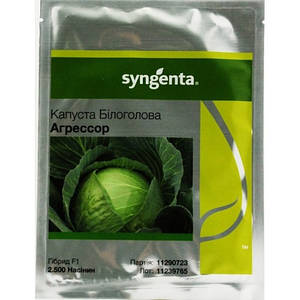 Капуста Агресор F1 2500 с. Syngenta