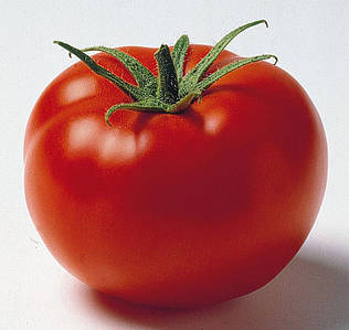 Томат детермінантний «Джем F1» F1 100 шт