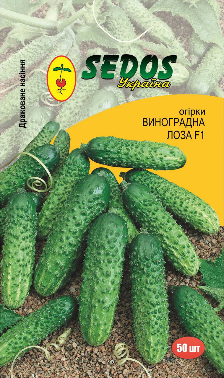 Огірки "Виноградна лоза" F1