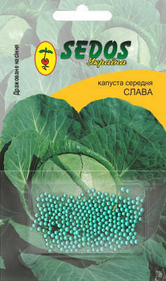 Капуста "Слава" 100 шт., фото 1