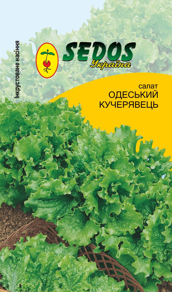 Салат "Одесский кучерявец", 1 гр