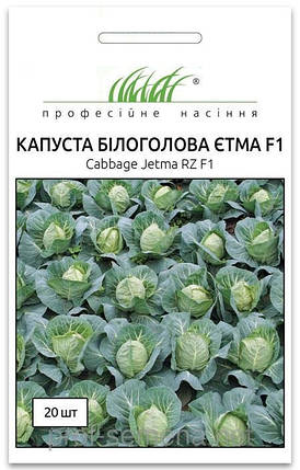 Капуста Етма F1 (20шт) Clause, фото 1