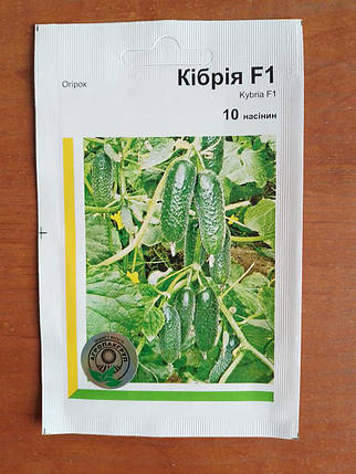 Огірок Кібрія F1 (10шт) Rijk Zwaan, фото 1