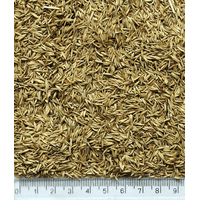 Грястиця насіння, 1 кг