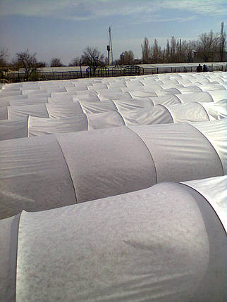 Агроволокно біле "Premium Agro" Р-40 (1,6*50), фото 1