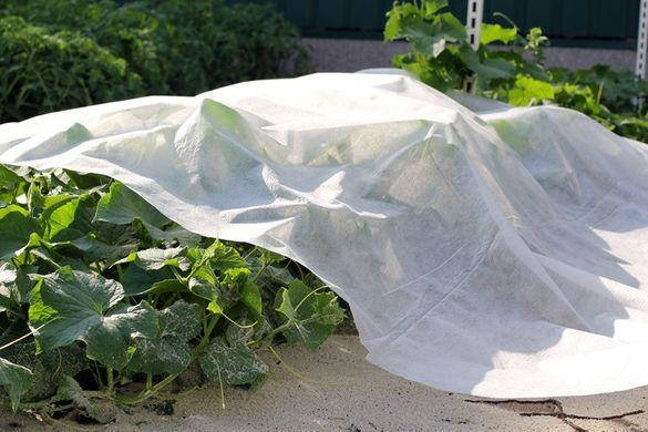 Агроволокно "Ecofield" Р-30 (2м*100м до 5000м) білий, фото 3