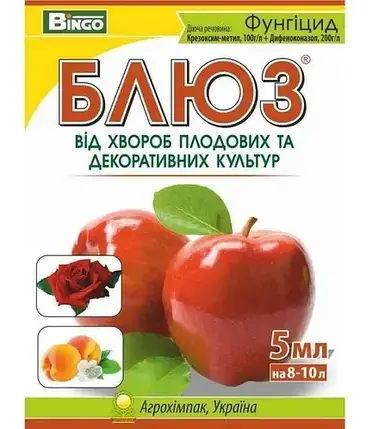 Блюз (5мл) Bingo, фото 1