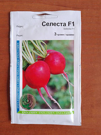 Редис Селеста F1(3г) Enza Zaden, фото 1
