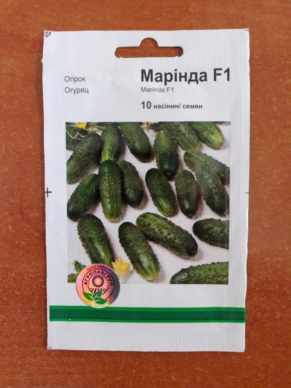 Огірок Марінда F1 (10шт) Monsanto