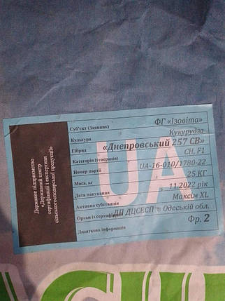 Кукурудза гібрид Дніпровський 257 МВ (кг), фото 3