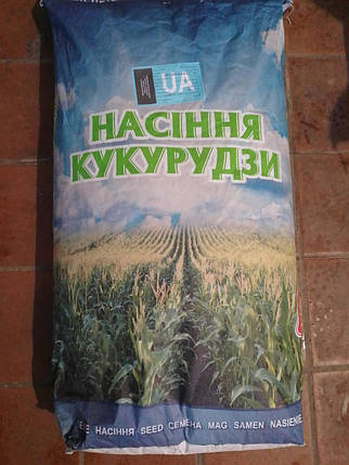 Кукурудза гібрид Дніпровський 257 МВ (кг), фото 4