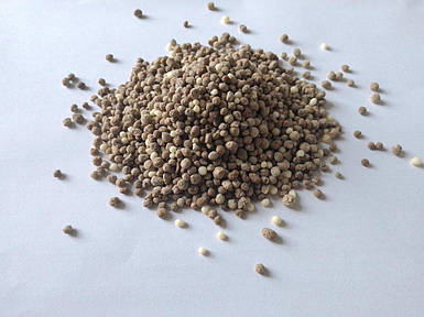 Агромастер NPK 6:13:24+10CaO+2MgO+8SO3 (25кг)