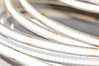 Стрічка GTV COB 12V, 480LED/m, 8mm, 10W/m, 750lm/W, 2700K, 5м, фото 4