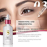 Омолоджуюча сироватка для обличчя з пептидами зміїної отрути KORMESIC, 50 мл.(Прим`ята упаковка!), фото 2