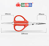 Садові ножиці 220 мм Sagawata, з пінцетом із неіржавкої сталі, фото 9