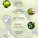 Матувальний тонер для звуження пор Byroe Apple Matcha Tea Clearing Toner 115 мл, фото 7
