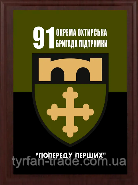 dpise/ Грамота/Діплом/Поздалегідність/Нагорода 100 ОМБр плакетка