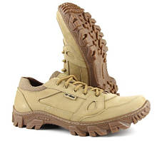 Тактичні кросівки Бекас койот