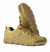 Тактичні кросівки Грізлі койот