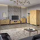 Комплект меблів для вітальні 5 предметів з ніжками кольору світлий горіх М-ЗОН Борн Дуб Артизан (MZN-031068)