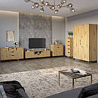 Комплект меблів для вітальні 5 предметів з чорними ніжками М-ЗОН Борн Дуб Артизан (MZN-031072)