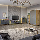 Комплект меблів для вітальні 5 предметів з ніжками кольору світлий горіх М-ЗОН Борн Дуб Артизан/Антрацит (MZN-031069)