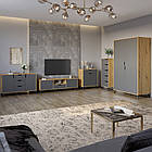 Комплект меблів для вітальні 5 предметів з чорними ніжками М-ЗОН Борн Дуб Артизан/Антрацит (MZN-031073)