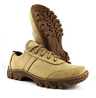 Тактичні кросівки Патрол койот + безкоштовна доставка