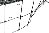Сітка 30 мм*35 мм 2 м·100 метрів пластикова садова сітка пташка, фото 5