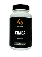 Чага 120 капсул по 250,0 мг