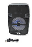 Портативна колонка ESS-110 (Bluetooth, 5 Вт, 21х15х11см, підсвітка, USB, SD, FM) Black, фото 3