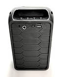 Портативна колонка ESS-110 (Bluetooth, 5 Вт, 21х15х11см, підсвітка, USB, SD, FM) Black, фото 4