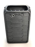 Портативна колонка ESS-105 (Bluetooth, 5 Вт, 20.5х14.5х11см, підсвітка, USB, SD, FM) Black, фото 3