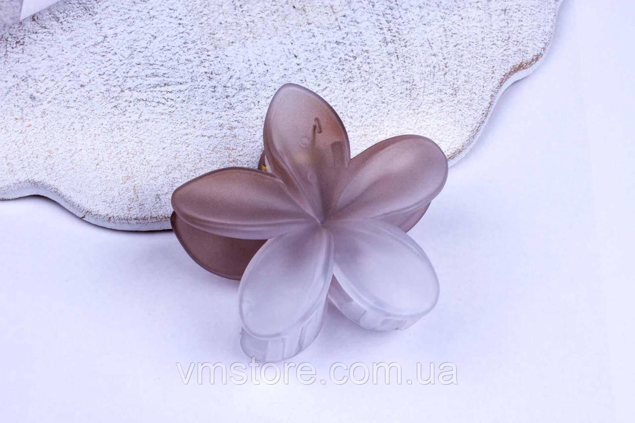 Краб гавайский квітка, заколка краб, фото 1