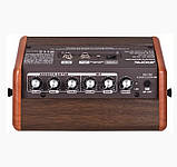 Комбопідсилювач для електроакустичної гітари Aroma AG15A, фото 2