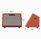 Комбопідсилювач для електроакустичної гітари Aroma AG15A, фото 4