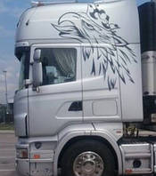 Наклейки - scania, грифон на кабіну 150 х 90 см - права та ліва, фото 3
