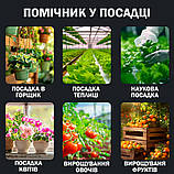 Тестер 6 в 1 ґрунту ST03 вимірник для садівництва Портативний, фото 2