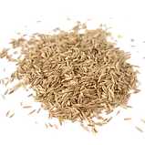 Тонконіг (мятлік) луговий Балін / Balin DLF Trifolium 1 кг, фото 3