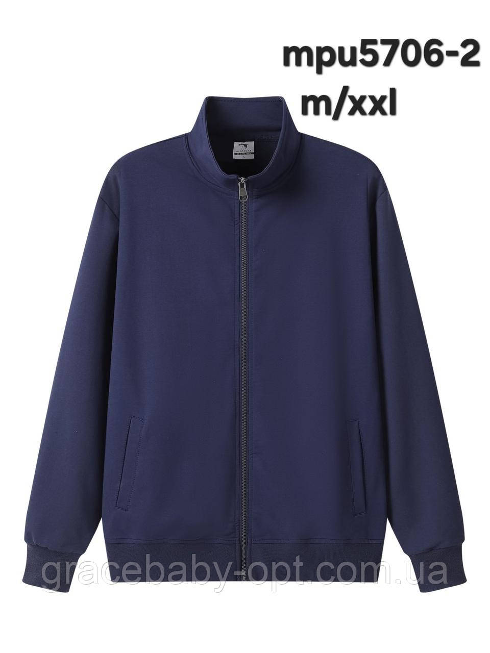 Пайта чоловіча оптом, Glo-story, M-2XL рр,  № MPU-5706-2, фото 1